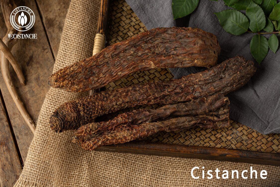 Cistanche was once a treasure tribute to the emperor