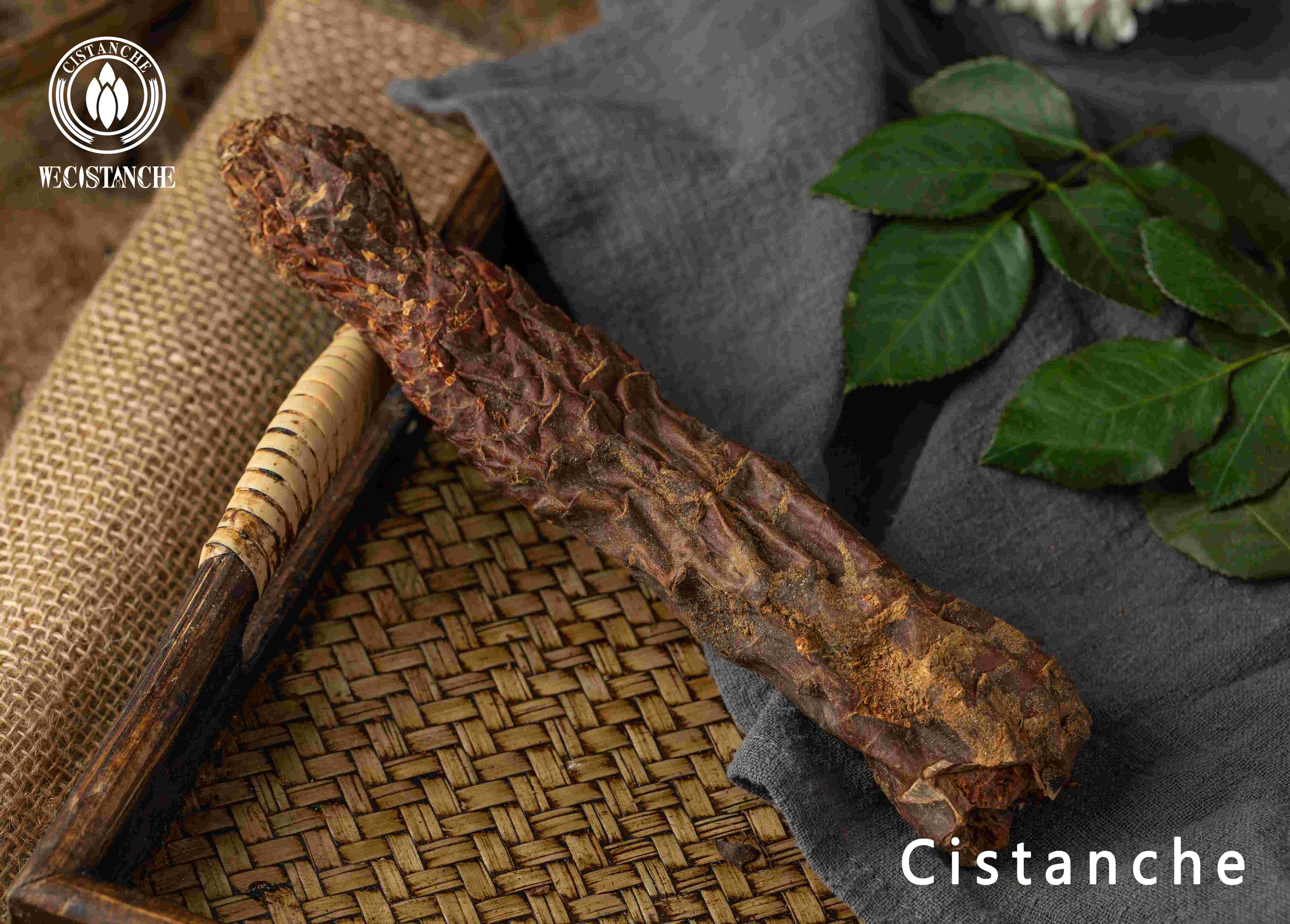 cistanche total glycosides cistanche total glycosides