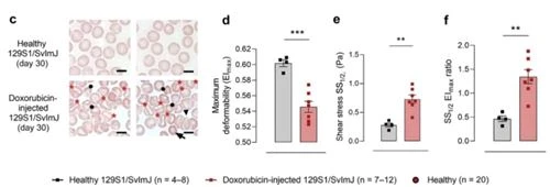 FIGURE 4(1)
