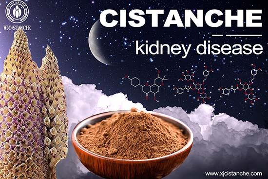 Autosomal Recessive Polycystic Kidney Disease Autosomal Recessive Polycystic Kidney Disease
