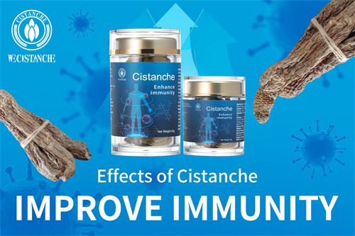 Cistanche Polysaccharide promoting proliferation of lymphocytes Cistanche Polysaccharide promoting proliferation of lymphocytes