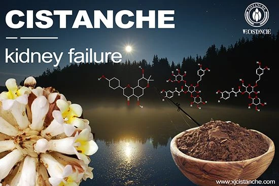 kidney failure kidney failure