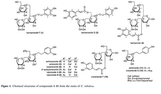 figure 1 figure 1