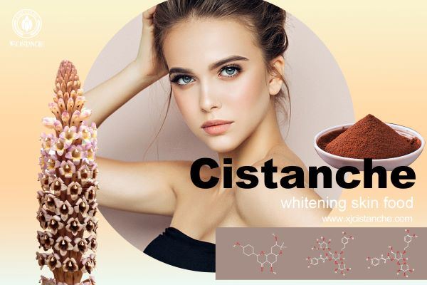 cistanche is whitening skin food cistanche is whitening skin food