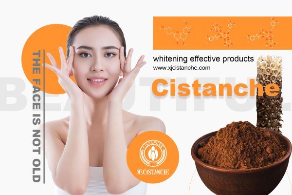 cistanche are whitening effective products cistanche are whitening effective products