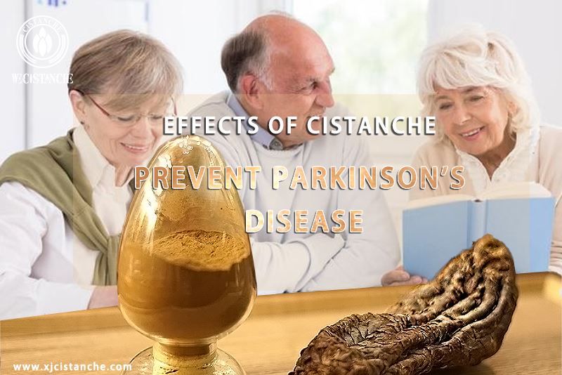 cistanche could precent parkinson's disease cistanche could precent parkinson's disease