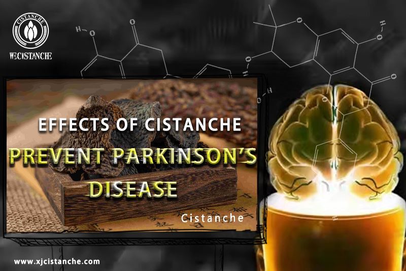 how to prevent parkinson's disease