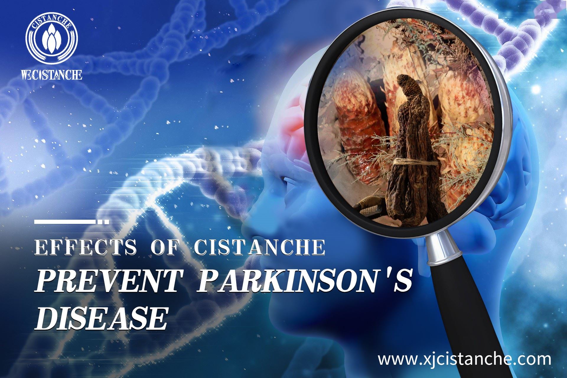 how to prevent parkinson's disease how to prevent parkinson's disease