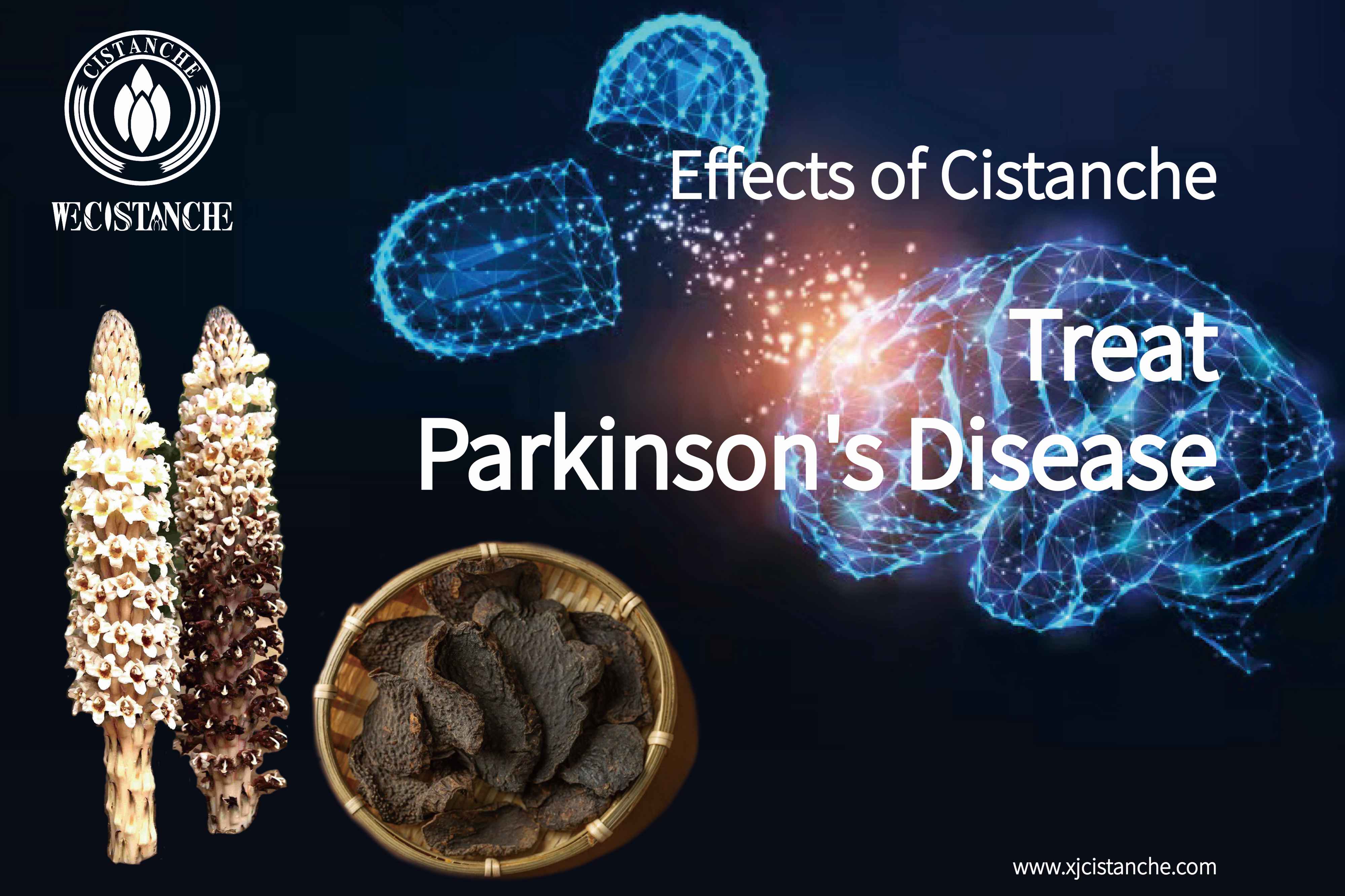 the herb for Parkinson's disease the herb for Parkinson's disease