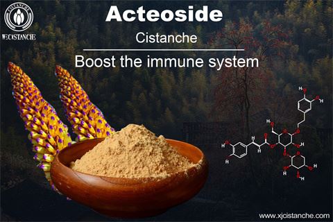 cistanche benefit