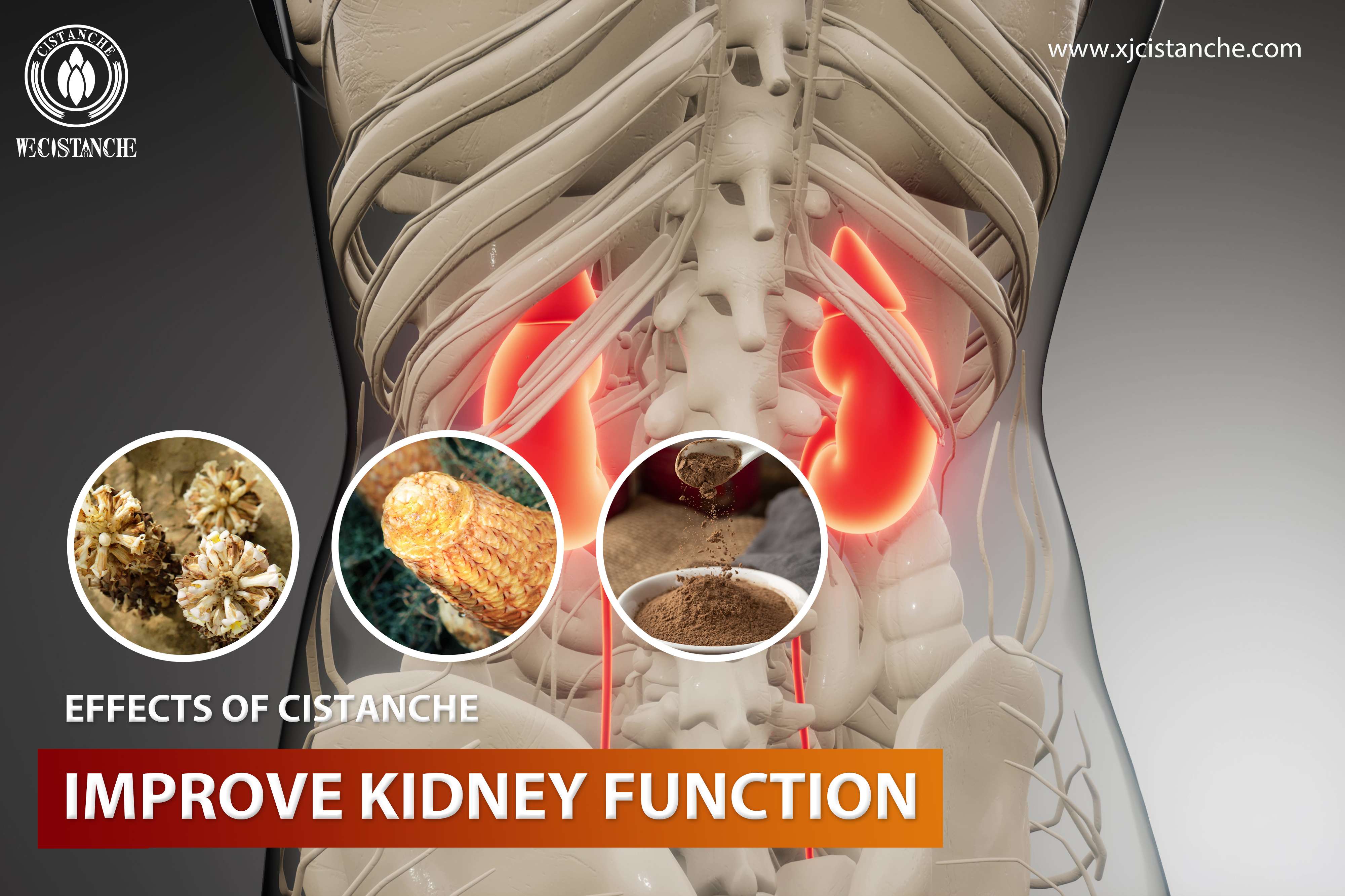 best herb for kidney disease