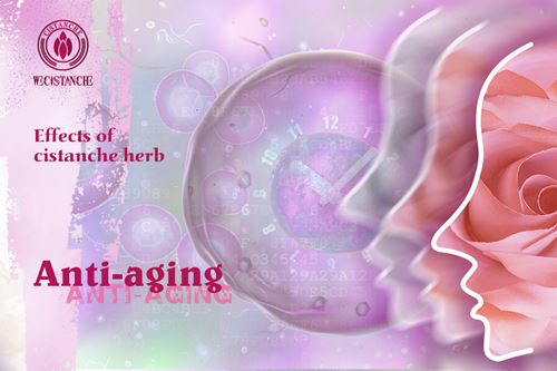 Anti-aging（,