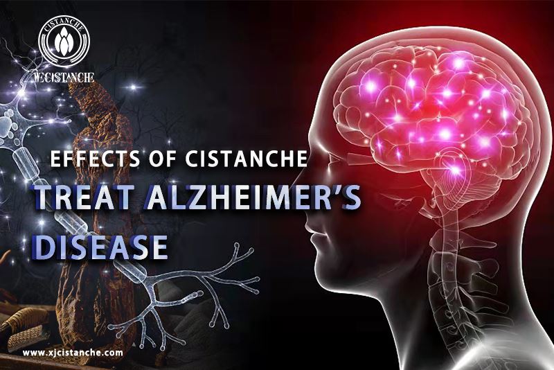 best herb for alzheimer's disease
