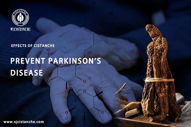 the best herb for parkinson's disease the best herb for parkinson's disease