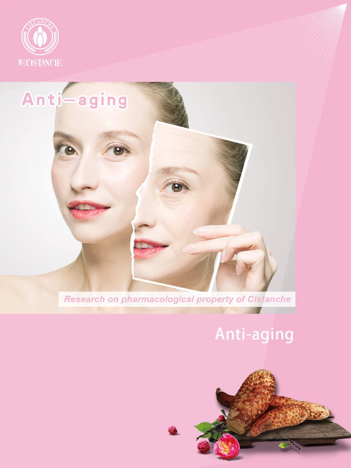 rou cong rong benefits anti aging