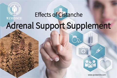 best cistanche supplement：adrenal support supplement