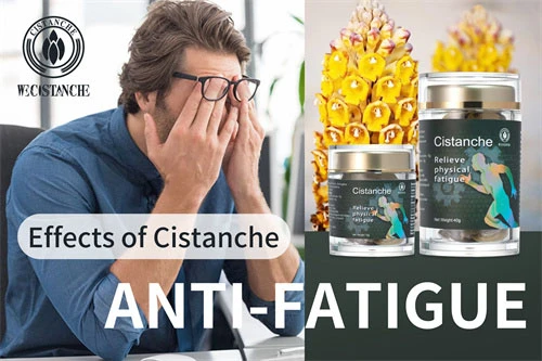 best herbs for treat CFS best herbs for treat CFS