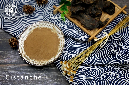 cistanche benefits cistanche benefits