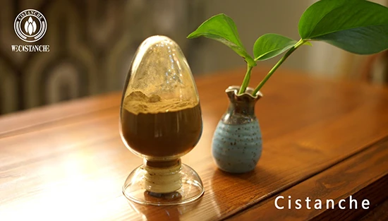 Cistanche extract (2) Cistanche extract (2)