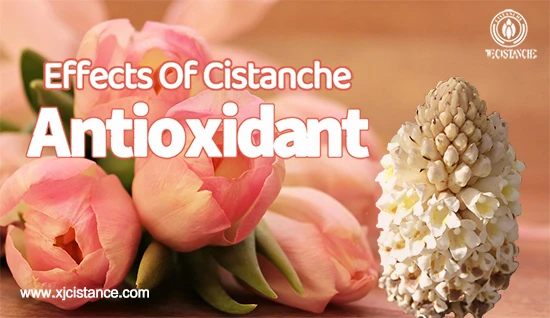 Benefits of cistanche tubulosa—Antioxidant Benefits of cistanche tubulosa—Antioxidant