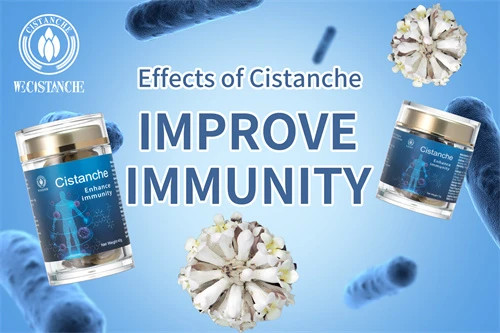what is cistanche