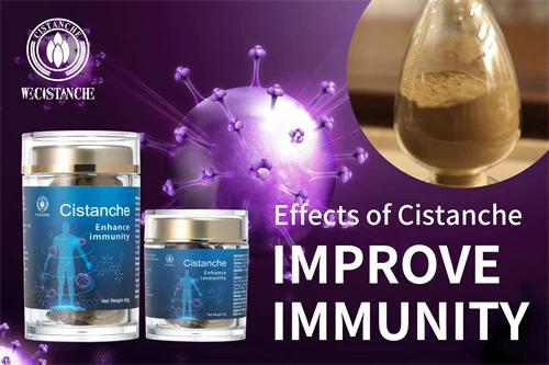 cistanche deserticola supplement
