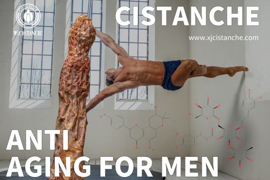 Echinacoside Anti-aging research Echinacoside Anti-aging research