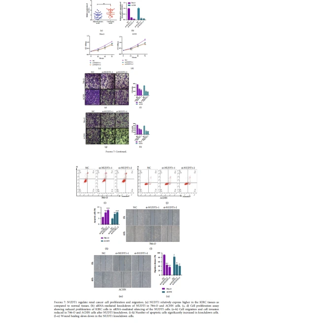 Figure 7 Figure 7