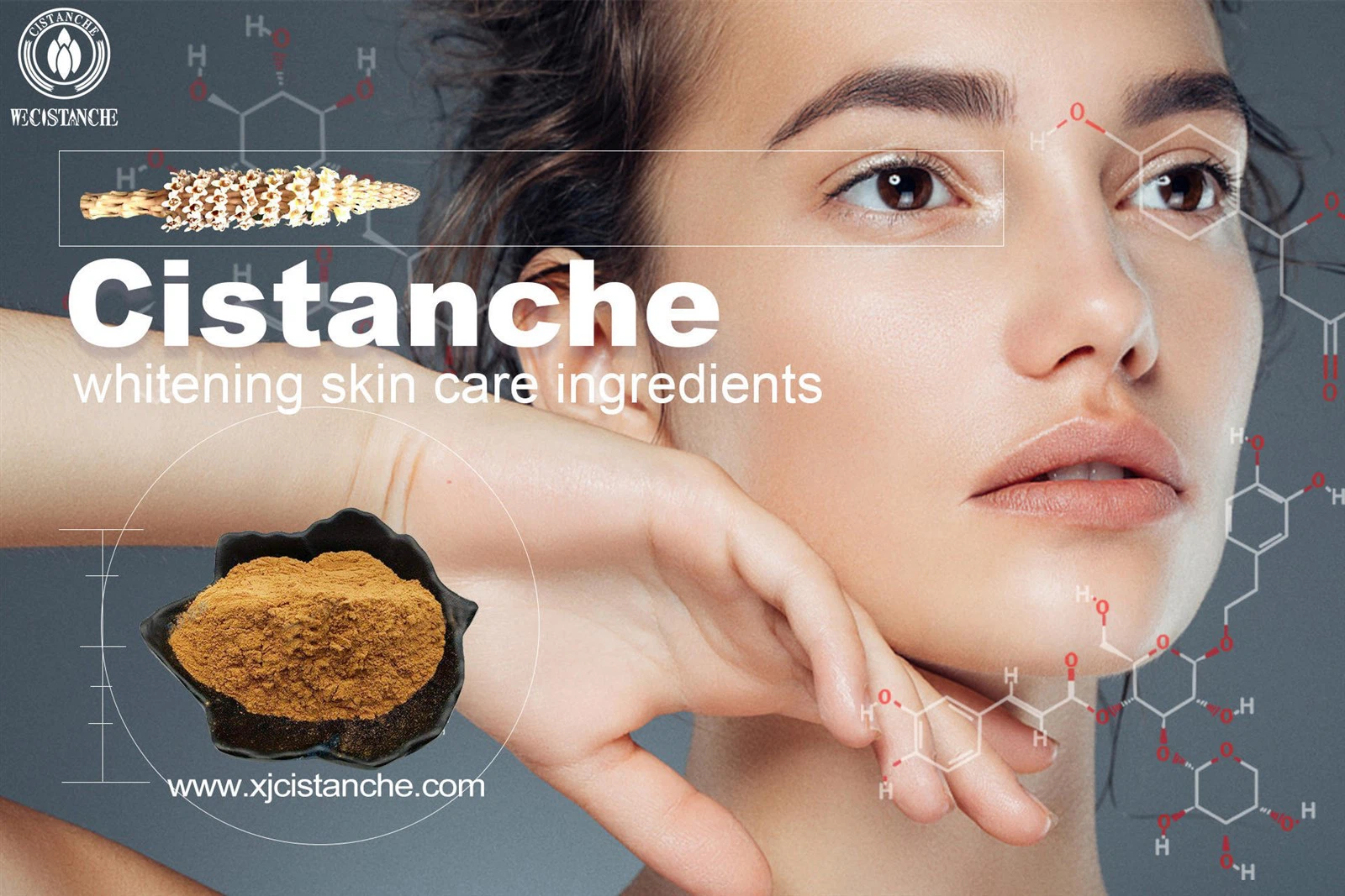 cistanche supplement review