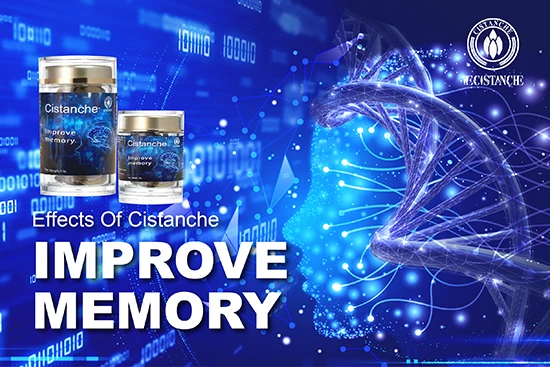 Cistanche supplement near me—Improve memory