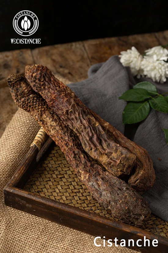 chinese herb cistanche chinese herb cistanche