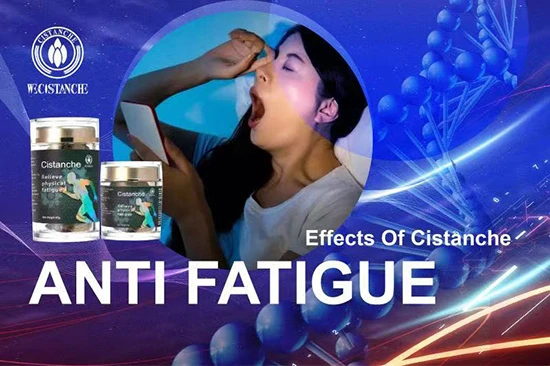 effects of cistanche-anti fatigue (3) effects of cistanche-anti fatigue (3)