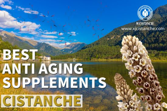 Cistanche benefits 