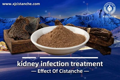 Cistanche benefits