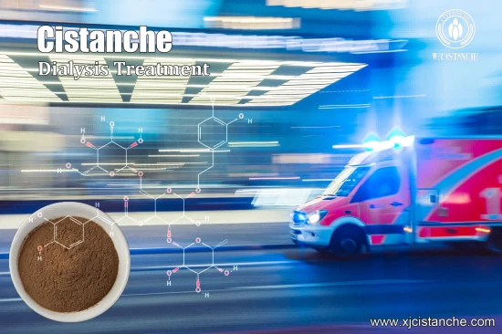 25% ECHINACOSIDE CISTANCHE FOR PRESERVING KIDNEY FUNCTION 25% ECHINACOSIDE CISTANCHE FOR PRESERVING KIDNEY FUNCTION