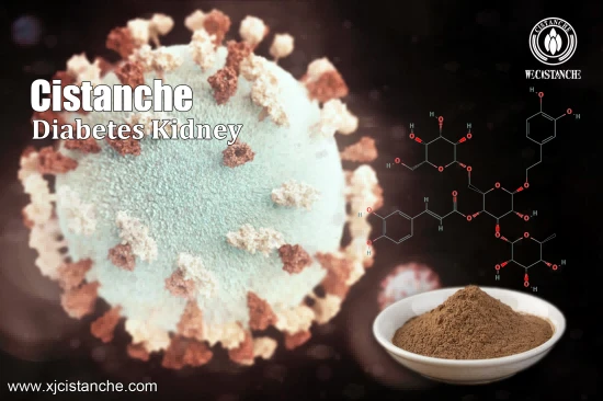 25% echinacoside 50% echinacoside cistanche tubulosa 25% echinacoside 50% echinacoside cistanche tubulosa