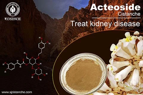 herbal formulation for kidney disease herbal formulation for kidney disease
