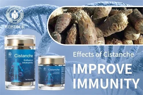 Desert ginseng—Improve immunity (6) Desert ginseng—Improve immunity (6)