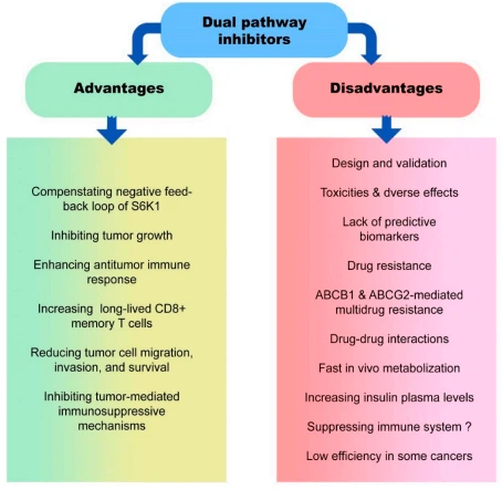 Figure 3. Advantages and disadvantages of using dual pathway inhibitors in cancer therapy Figure 3. Advantages and disadvantages of using dual pathway inhibitors in cancer therapy