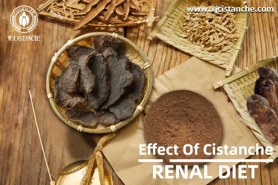 CISTANCHE EXTRACT WITH 25% ECHINACOSIDE AND 9% ACTEOSIDE FOR KIDNEY FUNCTION
