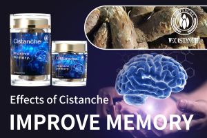 ways to improve memory ways to improve memory