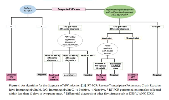 improve cognitive function