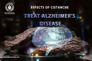 improve memory