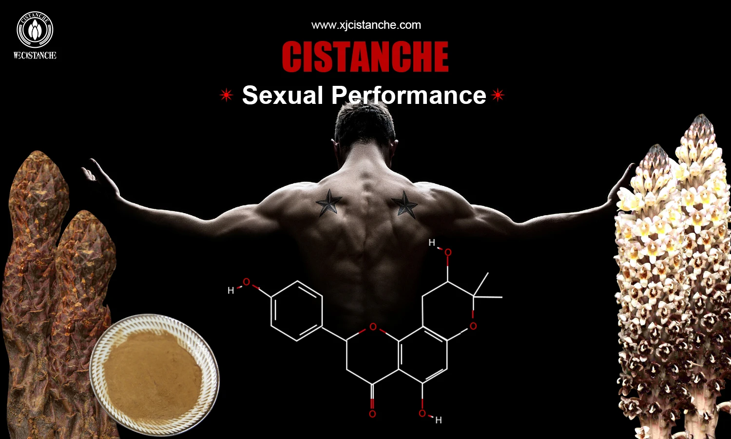 Cistache extract for repairing the damage of Sperm Cistache extract for repairing the damage of Sperm