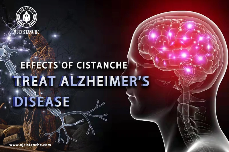 Cistanche tubulosa extract for treating Alzheimer's disease