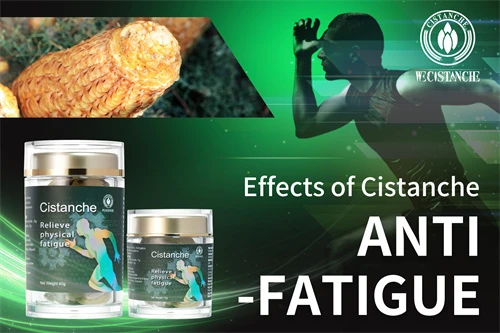 Cistanche tubulosa for anti-fatigue