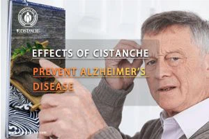 improve brain