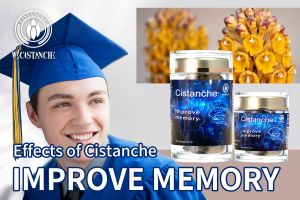 improve short term memory
