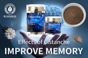 improve your memory