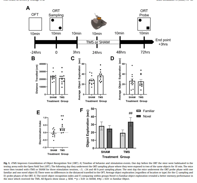 improving brain function improving brain function